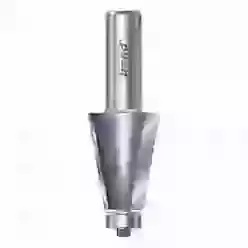 Bevel cutter